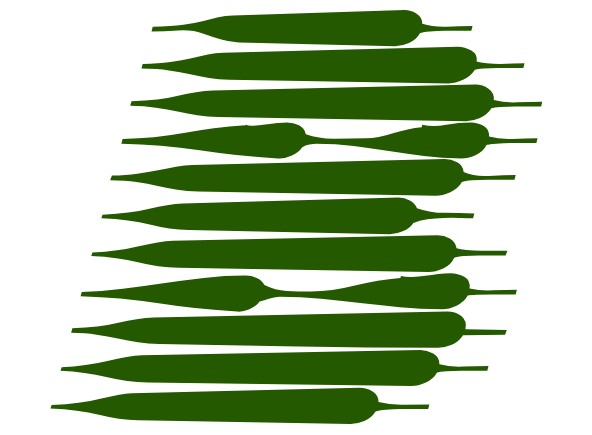 Buildleaf