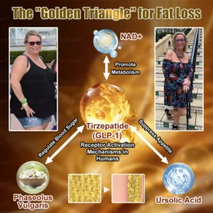 𝐁𝐮𝐢𝐥𝐝𝐥𝐞𝐚𝐟® 𝐓𝐢𝐫𝐳𝐞𝐩𝐚𝐭𝐢𝐝𝐞 𝐆𝐋𝐏-𝟏 Slimming & Health Boost Drops