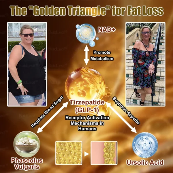 𝐁𝐮𝐢𝐥𝐝𝐥𝐞𝐚𝐟® 𝐓𝐢𝐫𝐳𝐞𝐩𝐚𝐭𝐢𝐝𝐞 𝐆𝐋𝐏-𝟏 Slimming & Health Boost Drops