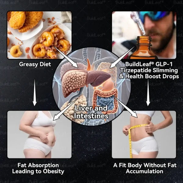 𝐁𝐮𝐢𝐥𝐝𝐥𝐞𝐚𝐟® 𝐓𝐢𝐫𝐳𝐞𝐩𝐚𝐭𝐢𝐝𝐞 𝐆𝐋𝐏-𝟏 Slimming & Health Boost Drops