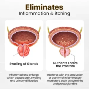 Biancat™ ProstaVibe Rapid Relief Male Vitality Inhaler