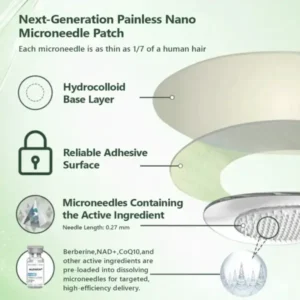 ๐ด๐๐ฅ๐ฆ๐๐ยฎ โ ๐ฉ๐๐๐๐๐ง๐๐ฃ๐ ๐๐๐ฏ๐๐ง๐๐๐ ๐๐๐ฃ๐ค-๐ด๐๐๐๐๐๐๐๐
๐๐ ๐ท๐๐ฉ๐๐ ๐๐๐๐๐ฃ๐ค๐ก๐ค๐๐ฎ