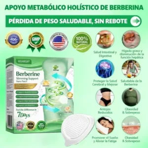 RISARISA® 𝐏𝐚𝐫𝐜𝐡𝐞 𝐝𝐞 𝐌𝐢𝐜𝐫𝐨𝐚𝐠𝐮𝐣𝐚𝐬 𝐍𝐚𝐧𝐨 𝐝𝐞 𝐍𝐀𝐃+ 𝐲 𝐁𝐞𝐫𝐛𝐞𝐫𝐢𝐧𝐚 – 𝐑𝐞𝐦𝐨𝐝𝐞𝐥𝐚𝐜𝐢ó𝐧 𝐂𝐨𝐫𝐩𝐨𝐫𝐚𝐥