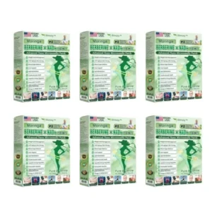 Slimoly™ Moringa & Berberine 10-IN-1 Advanced Nano Microneedle Patch