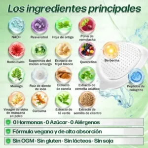 𝑫𝑶𝑻𝑨𝑳𝑬® Parche de Microagujas Nano Avanzado 10 en 1 con Moringa Berberina y NAD+